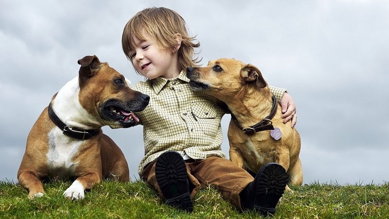 особенности воспитания детей в сша