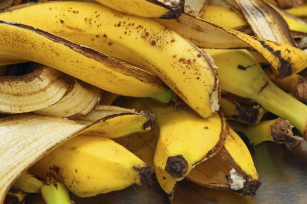 Продукты, которые мы зачастую выбрасываем, а зря