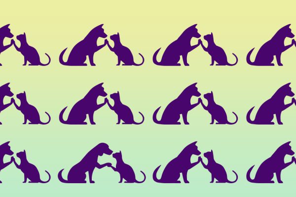 Чтобы отыскать лишний силуэт за несколько секунд, нужно орлиное зрение, проверь, насколько ты хорош