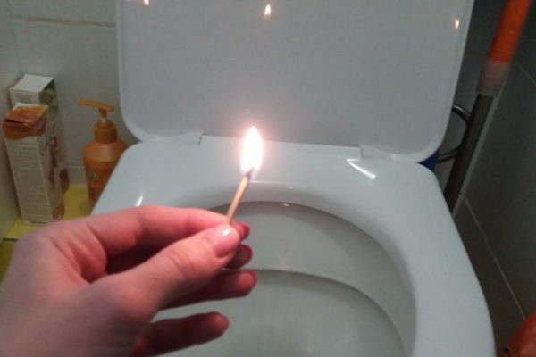 Когда дом полон гостей, зажги спичку и брось в унитаз