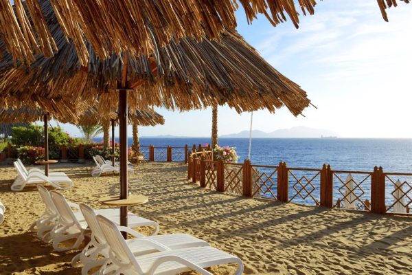 Больше в Египет не поедем, развести и кинуть стараются на каждом шагу, неприятный осадок после отдыха