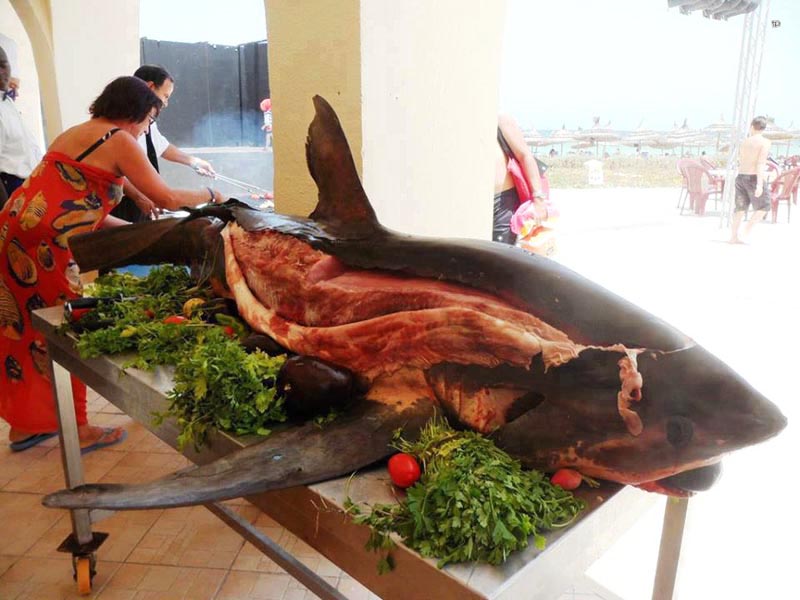 акулье мясо