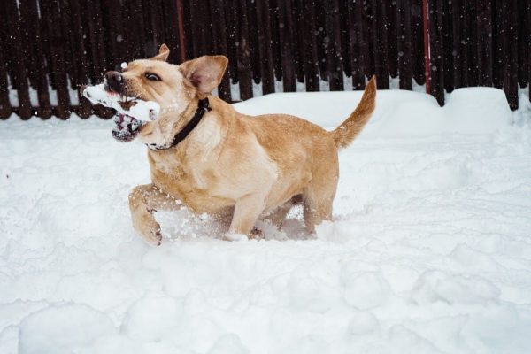 После каторжного труда у мамы в деревне попросила в долг 500 долларов, но получила лишь жалобы и возмущение в благодарность за работу