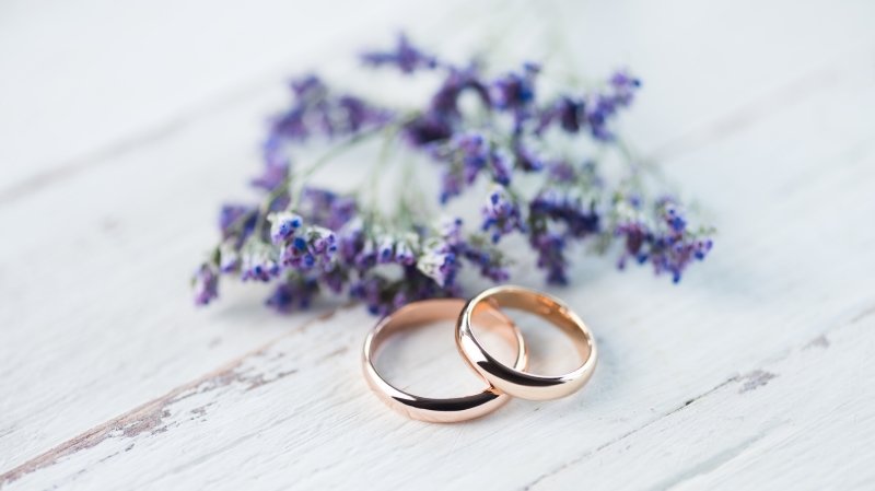 отношения тещи с зятем