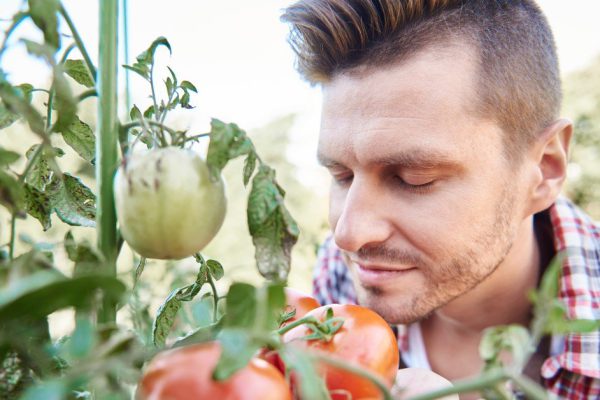 Задурил мне голову гостевым браком, рассказывая, что после 30 это единственный вариант