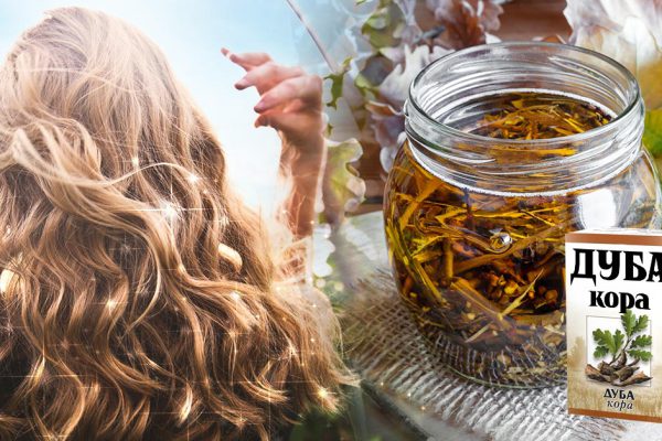 Бабушка научила мыть волосы с корой дуба, волосы ожили и перестали выпадать