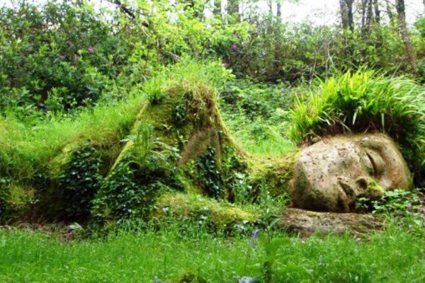 Дизайн сада перед домом