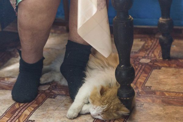 Какая я была наивная, переезжая из города в деревню, когда началась пандемия