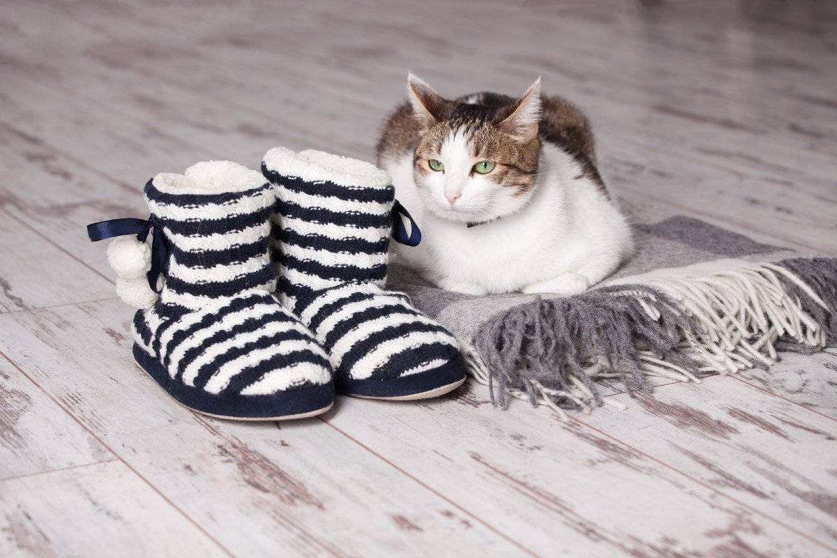 отыдх в Германии