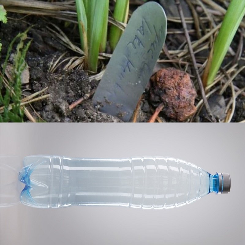 Как использовать пластиковые бутылки на даче вдохновение