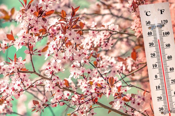 Быстрый способ перевести градусы из Фаренгейта в Цельсий и обратно