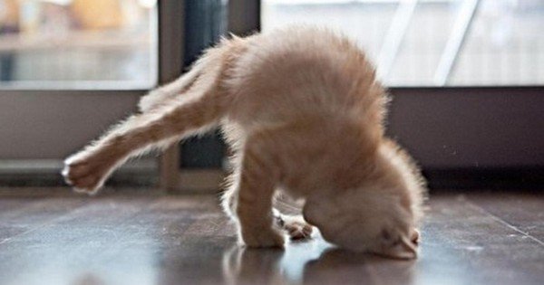 Как не сделать первое занятие йогой последним: 5 советов для начинающих.