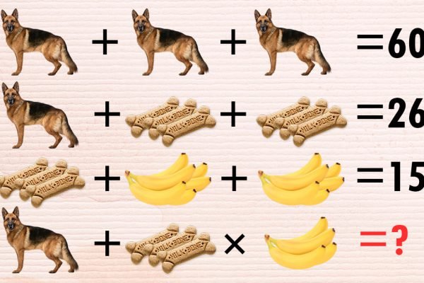 Каждый вечер перед сном решаю примеры, чтобы мозги не ржавели, попробуй и ты