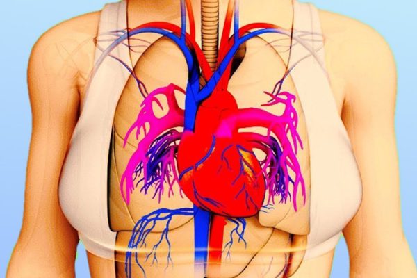 Ты не сможешь себе простить, что не знал этого! Главное — не потерять время, первые 3 часа…