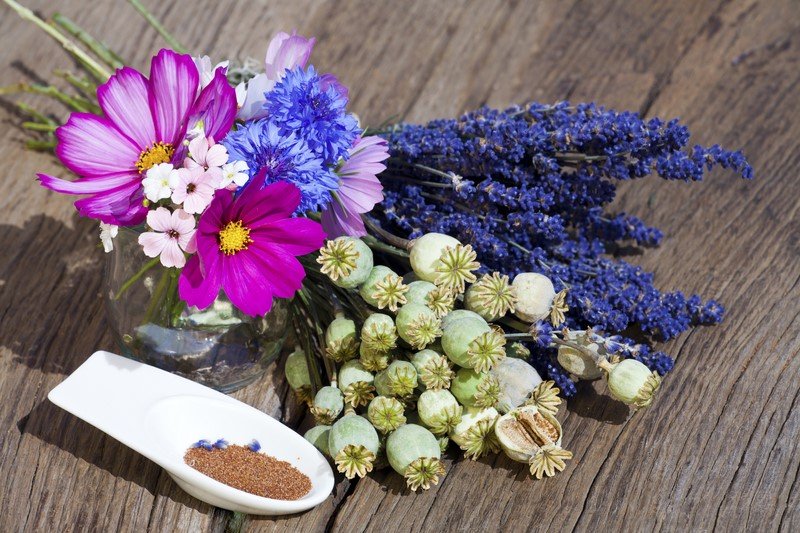 медовый спас традиции