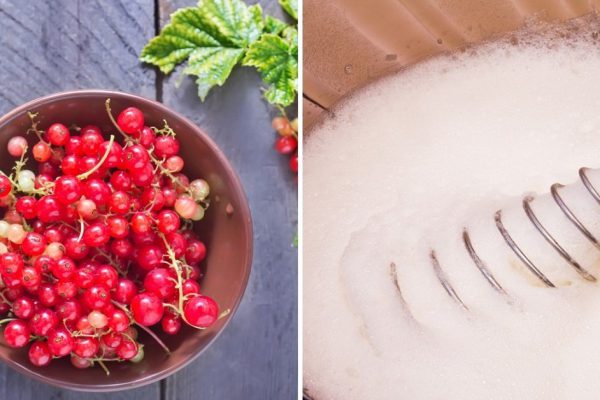 Инструкция по приготовлению пирога с красной смородиной и безе