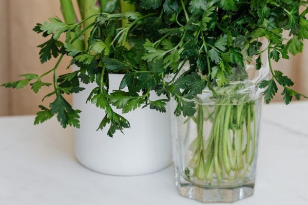 Пеку огромную кастрюлю таких пирожков с зеленью и угощаю всех дачников в округе