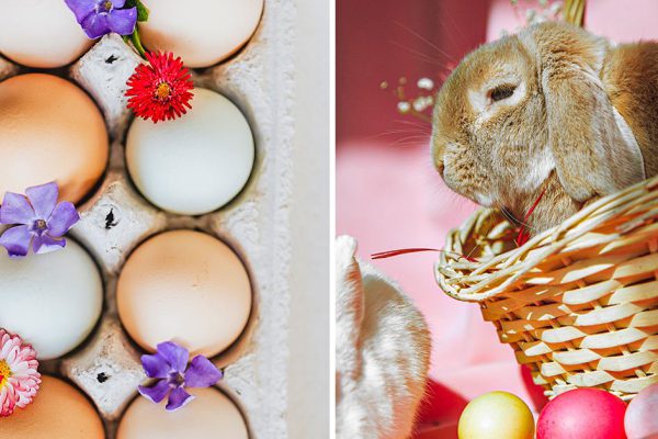 Все пищевые красители для яиц в одной статье