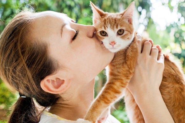 Специалист по питанию котов объяснил, чем нельзя кормить хвостатых проказников