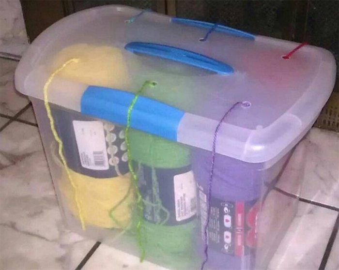 пластиковые контейнеры для хранения сыпучих продуктов
