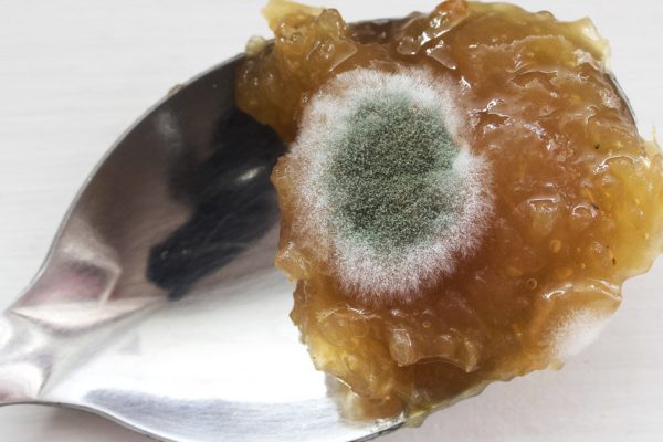 Можно ли есть варенье, если в банке обнаружена плесень