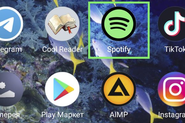 50-летний жених из Австралии подарил подписку на Spotify, слушаю музыку только так