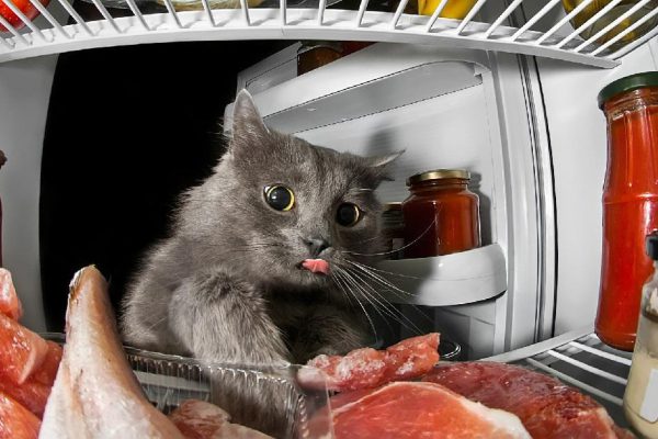 Какие продукты вызывают чувство усталости