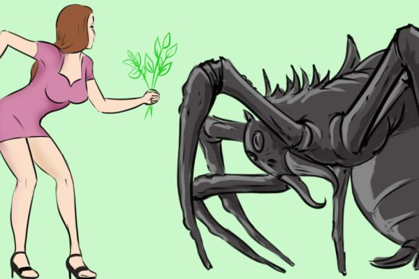 Что будет с домом, где появилось много пауков