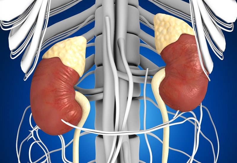 почему трясутся руки и тошнит