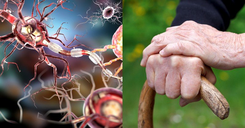 почему дрожат руки после тренировки