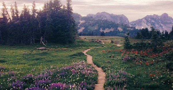 6 причин выйти на прогулку прямо сейчас: неоценимая польза для твоей души, тела и ума.