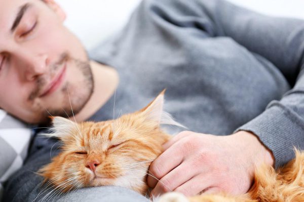 Как перестать страдать от недосыпа