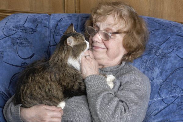 Почему женщины бегут из отношений к одиночеству с котом