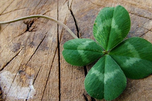 Как переманить удачу на свою сторону