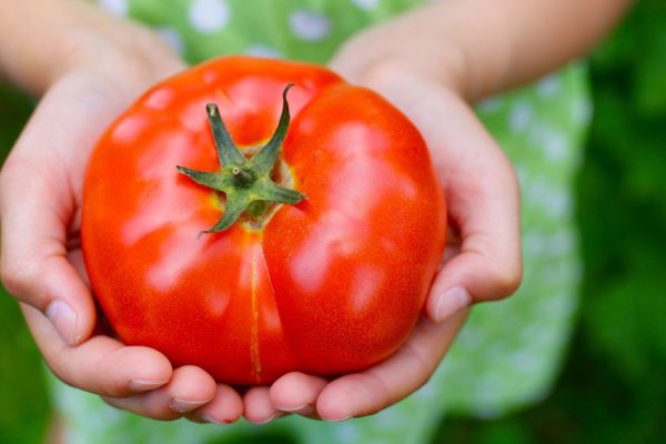 4a445ba6-6ee5-4273-96d4-c9dfde290360