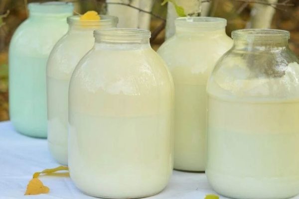 Бабушка на рынке рассказала, что нужно сделать, чтобы молоко долго оставалось свежим и не скисало