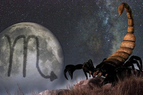 Почему стоит дружить со Скорпионами и почему можно легко на них положиться