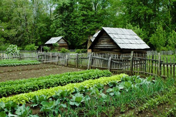 Vegetable Garden with gourd bird houses. Smoky Mountain National Park
