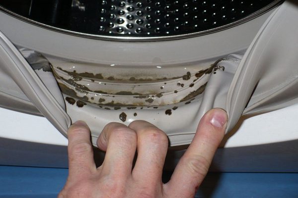 В стиральной машине обнаружила плесень, но слезами смыть ее не смогла