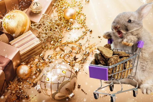 Что нельзя дарить на год Черного Водяного Кролика, есть запретные дары