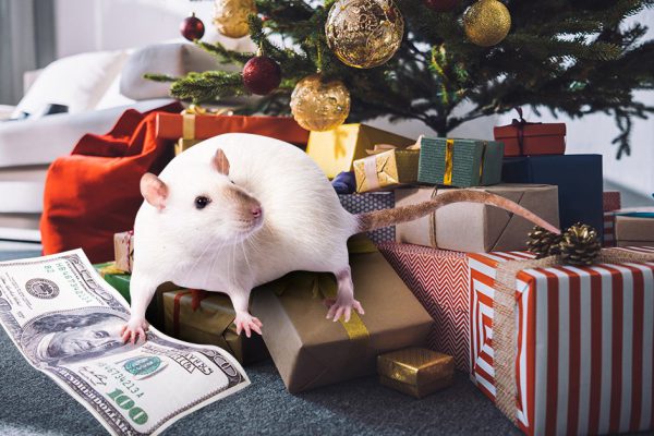 Какие подарки преподнести близким на Новый год