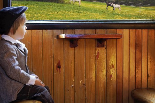 Ничего так сильно не боюсь, как того времени, когда моих родителей не станет