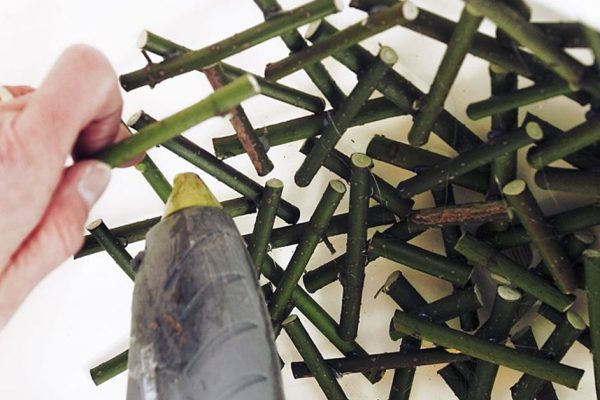 Зачем нести сухие ветки домой