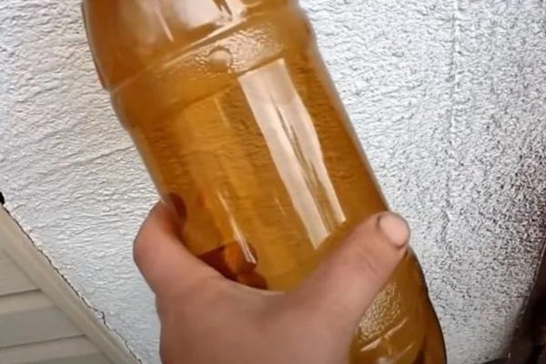 Огородное чучело из пластиковой бутылки, что шугает пернатых и прогоняет кротов, мышей, землероек