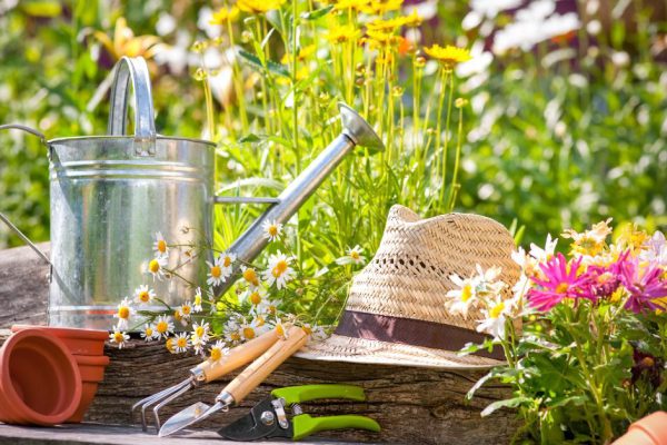 Полезная поделка для дачи из пластиковых бутылок