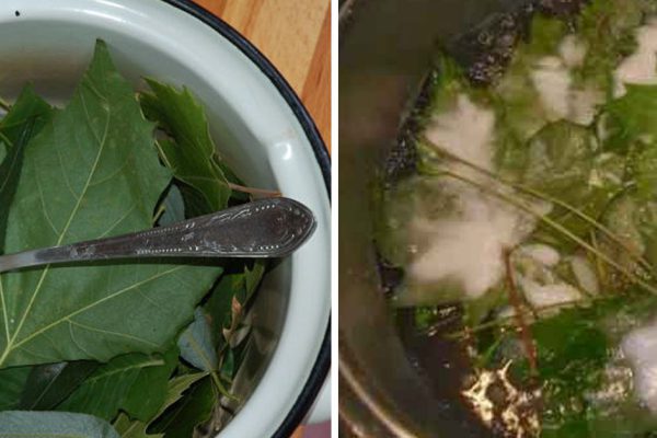 Бросила в кастрюлю 10 кленовых листьев и 3 ложки соды… Когда увидишь, зачем, непременно поступишь так же.