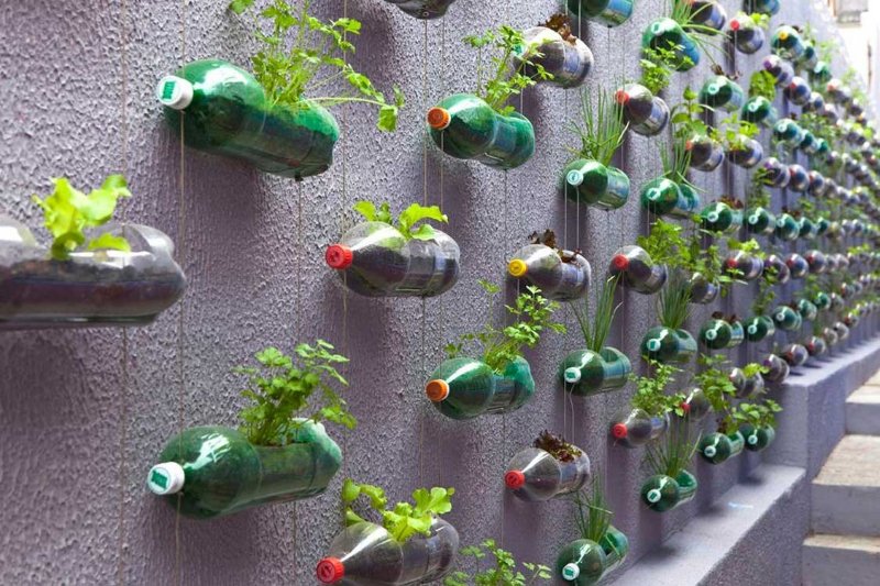 поделки из пластиковых бутылок для сада