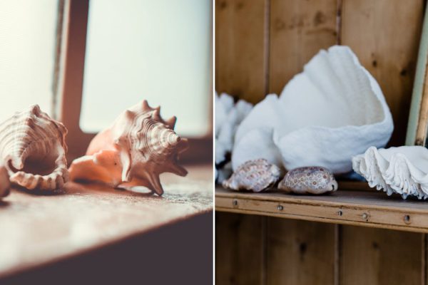 Мастерица просверлила дырочки в маленьких ракушках и украсила ими елку, идея на миллион