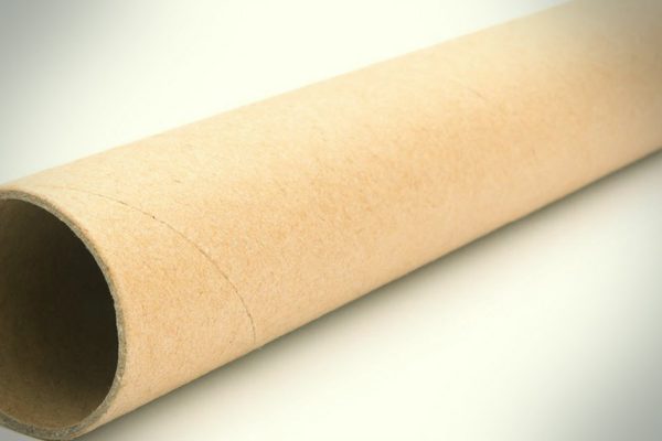 Почему не стоит выбрасывать втулки от туалетной бумаги