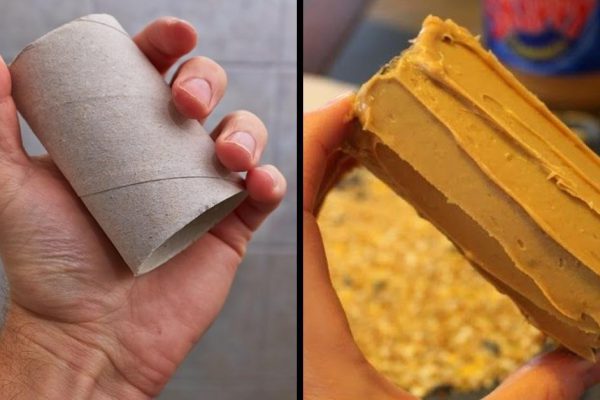 Втулки от туалетной бумаги не мусор, а поле для творчества. Не спеши их выбрасывать!